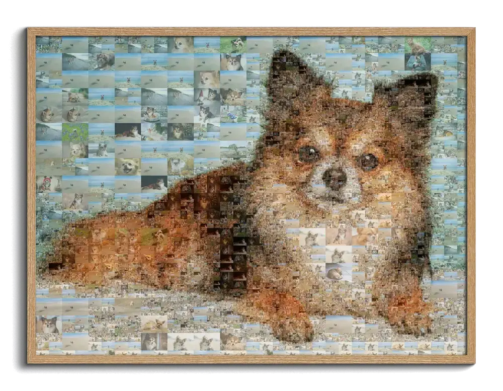 Mosaico horizontal de un perro pequeño tumbado, compuesto por fotos rectangulares, con marco de madera natural