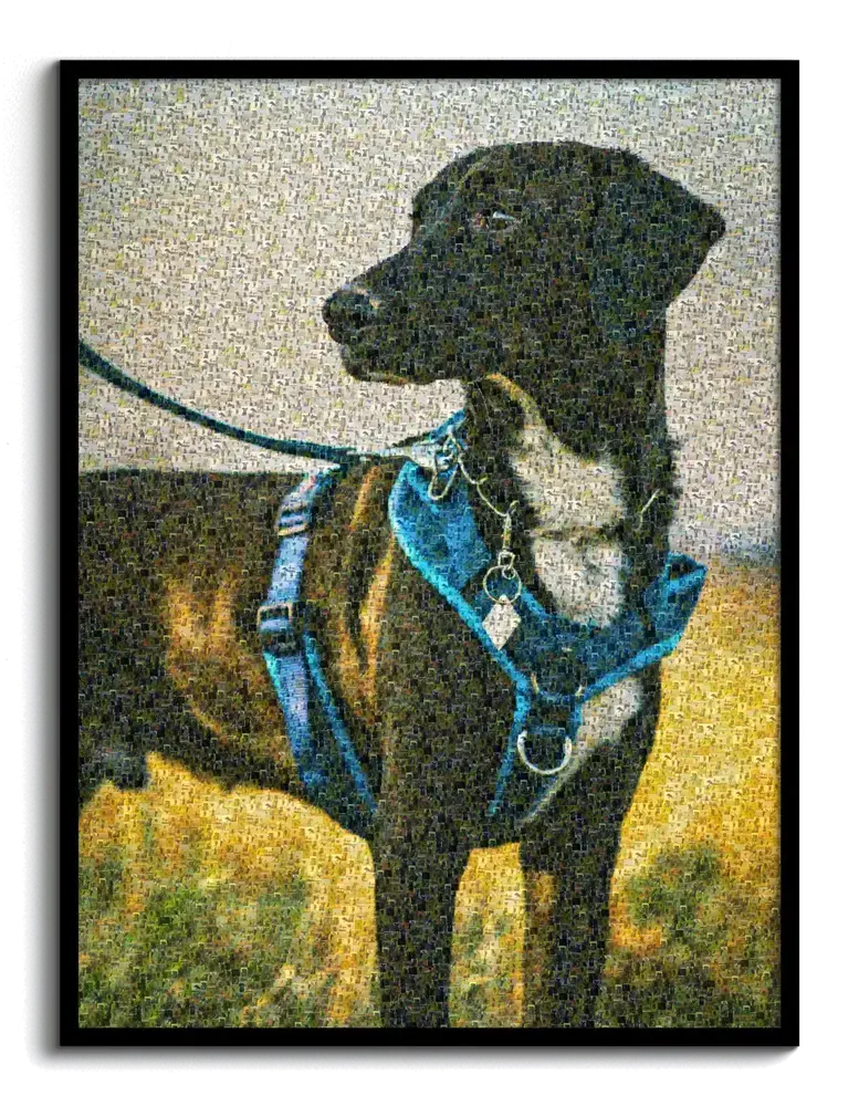 Retrato de un perro negro con arnés azul, compuesto por pequeñas fotos y enmarcado en negro