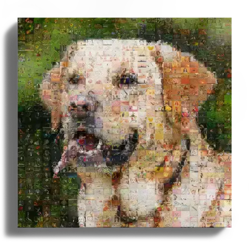 Crea tu fotomosaico personalizado de tu perro: un regalo único y conmovedor