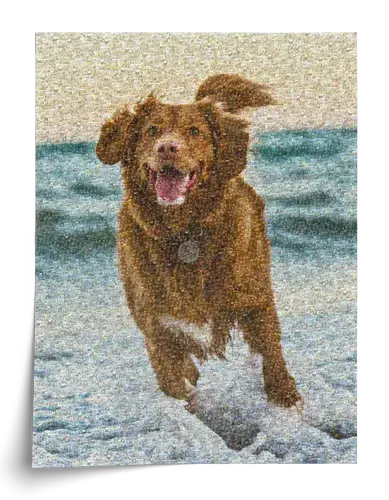 Retrato Mosaico Personalizado de Perros