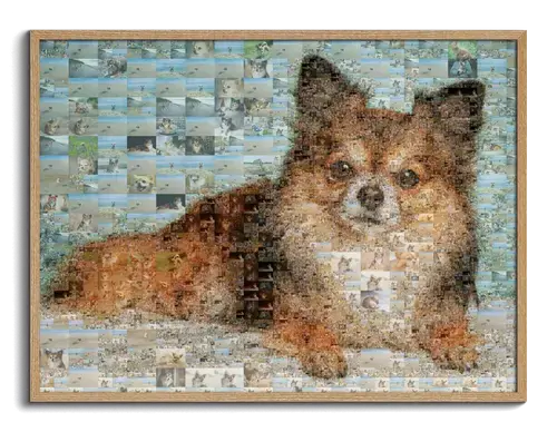 Retrato Mosaico Personalizado de Perros