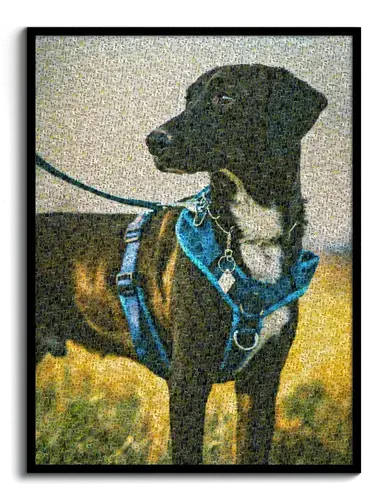 Retrato Mosaico Personalizado de Perros