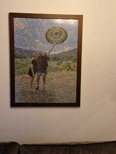 Foto del cliente Petra para la valoración Impresión Fotomosaico [Software] Póster 60x80cm